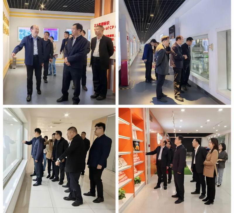 1729926407956605.jpg 640_wx_fmt=other&from=appmsg&wxfrom=5&wx_lazy=1&wx_co=1&tp=webp (1).jpg