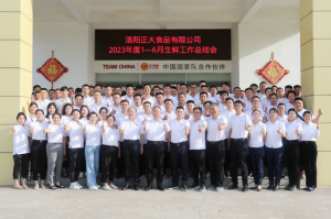 總結(jié)過(guò)去，計(jì)劃未來(lái)，協(xié)同創(chuàng)新，再創(chuàng)佳績(jī)！洛陽(yáng)正大舉行2023年上半年工作總結(jié)會(huì)議